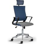 Asbir Mobilya Rigel Başlıklı Metal Ayaklı Çalışma Koltuğu Ofis Sandalyesi - Mavi - Gri