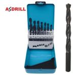 Asdrill ASD19-R Hss 19 Parça Metal Matkap Ucu Seti