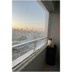 Asenya 2 m x 2,5 m kuş filesi balkon kedi koruma filesi dolu filesi misina file kuş ağı balkon ağı