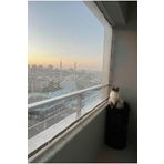 Asenya Balkon Filesi 1x6 Metre Kuş Önleme Filesi Kedi Filesi Güvercin Önleme Ağı Koruma Filesi Dolu Filesi