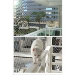 Asenya Balkon Filesi 2x4 Metre Kuş Filesi Kedi Filesi Kuş Ağı Kuş Önleme Filesi