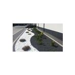 Asenya Beyaz Dolomit Taş 5 Kg 2,5-4 Cm Bahçe Süs Taşı Dekoratif Taş