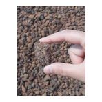Asenya Dekoratif Pomza Taşı 10 Lt (5 Kg) 15-25 Mm Kırmızı Pomza Tarım Pomzası Bahçe Saksı Teraryum Taşı