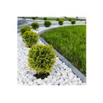 Asenya Dolomit Taş 2 Kg 4-6 Cm Beyaz Dolomit Taş Saksı Dibi Dekoratif Taş Bahçe Süsleme Taşı Peyzaj Taşı