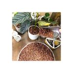Asenya Kırmızı Pomza Taşı 3-8 Mm 6 Kg Volkanik Cürüf Ponza Lav Kırığı Lav Taşı