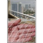 Asenya Kuş Filesi 2X13 Metre Balkon Filesi Kuş Önleme Ağı