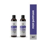 Ashley Joy 2x250 ml Mor Şampuan