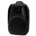 Ashton Explorer 10 Pasif 10 Inch Hoparlör