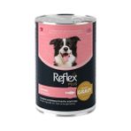Ashwork Reflex Plus Sos Içinde Somonlu Yetişkin Konserve Köpek Maması 1 Adet 400 gr 587455