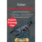 ASIAN FOREST SCORPION: The Shy Giant of the Terrarium — Handling, Habitat Setup, Feeding, and Myths of This Exotic Invertebrate
