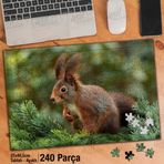 Asil Hobi Çam Ağacı-Sincap-Doğa-Manzara Yapboz-Ayak Destekli Çerçeveli 240 Parça Puzzle