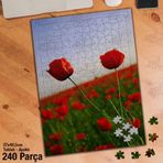 Asil Hobi Kırmızı Gelincik Çiçeği-Doğa-Tabiat Yapboz-Ayak Destekli Çerçeveli 240 Parça Puzzle