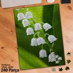 Asil Hobi Müge Çiçeği-Mayıs Çiçeği-Doğa-Bitki Yapboz-Ayak Destekli Çerçeveli 240 Parça Puzzle