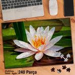 Asil Hobi Nilüfer-Çiçek-Bitki-Doğa Yapboz-Ayak Destekli 240 Parça Puzzle