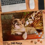 Asil Hobi Saksıda Uyuyakalan Sevimli Kedi-Hayvan Yapboz-Ayak Destekli Çerçeveli 240 Parça Puzzle