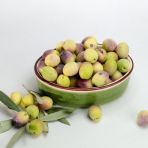 Aşılı Kırmalık Yağlık Ayvalık Edremit Zeytin Fidanı(100-150 Cm)