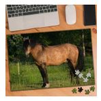 Asilmeydan 455405717 240 Parça Siyah Bacaklı Yeleli At Puzzle Yapboz Tablo