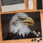 Asilmeydan 455959094 240 Parça Yırtıcı Kuş Kartal Puzzle Yapboz Tablo