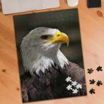 Asilmeydan 455960710 240 Parça Asil Kuş Vahşi Kartal Puzzle Yapboz Tablo