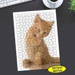 Asilmeydan 456458041 240 Parça Turuncu Sevimli Kedicik Puzzle Yapboz Tablo