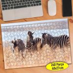 Asilmeydan 456536009 240 Parça Afrikada Zebra Hayvanlar Puzzle Yapboz Tablo