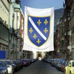 Asilmeydan Bosna Hersek Bayrağı Raşel Bayrak (400X600 Cm) - Renkli