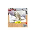 Asilmeydan Daldaki Sevimli Baykuş 99 Parça Puzzle Yapboz Tablo