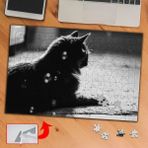 Asilmeydan Siyah Beyaz Izleyen Kedi 240 Parça 27x40 cm Puzzle Yapboz Tablo