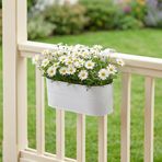 Askılı Metal Elips Saksı - Sökülebilir Askılı Balkon Saksılık ve Çiçeklik 7 Litre (Beyaz)
