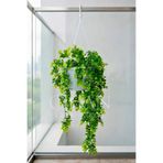 Askılı Saksıda Yapay Sarkan Okaliptus - 90 cm Balkon ve Teras Çiçeği