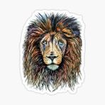 Aslan Araba Oto Sticker Etiket Renkli E1
