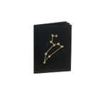 Aslan Burcu Yıldız Haritası Siyah Defter