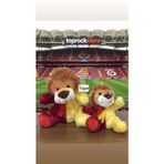 Aslan Taraftar Peluş Oyuncak Aslan Kardeşler 30 Cm 20 Cm En Güzel Hediyelik Uyku Arkadaşı