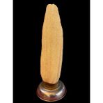 Aslancan Natural Shop Doğal Kabak Lif (65-85CM),MUTFAK ve Banyo,doğal Kese,lif - Açık Sarı
