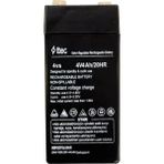 Aslanoğlu Store Ttec 4V 4 Ah Kuru Bakımsız Akü