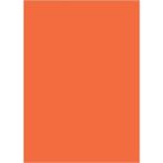 Aslans Turuncu Fon Kartonu 25 Adet 50X70