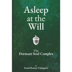 Asleep at the Will: The Dormant Soul Complex