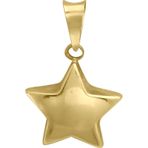Aslı Gold Altın Bombeli Yıldız Kolye Ucu (UC0207)