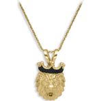 Aslı Gold Altın Siyah Taşlı Aslan Erkek Kolye (KLY0986)