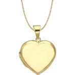 Aslı Gold Düz Model Altın Kalpli Madalyon Kolye (KLY1009)