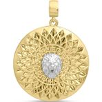 Aslı Gold Işıltılı Madalyon Altın Aslan Kolye Ucu (UC0286)