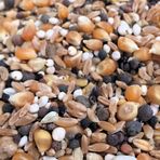 Aslımlar 1 kg Güvercin Yemi