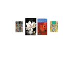 Aslında Herkes Haklı + 3 Kitap Daha (Set)