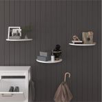 Asra Trend Oval Duvar Rafı DRF-04 %100 MDF 3'lü Dekoratif Organizer Kitaplık Beyaz