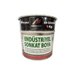 Asrın Rapid Beyaz 1 kg Endüstriyel Boya