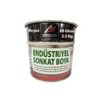 Asrın Rapid Beyaz 2.5 kg Endüstriyel Boya