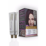 Asse 4.22 Patlıcan Moru Set Boya