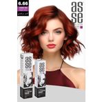 Asse 6.66 Vişne Kızıl - 60ml Tüp Boya