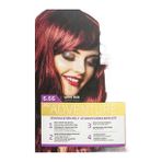 Asse Hair Color System Saç Boyası Şarap Kızılı No: 6.66
