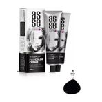 Asse Hair Color Systems 1 Siyah 60 ml Saç Boyası